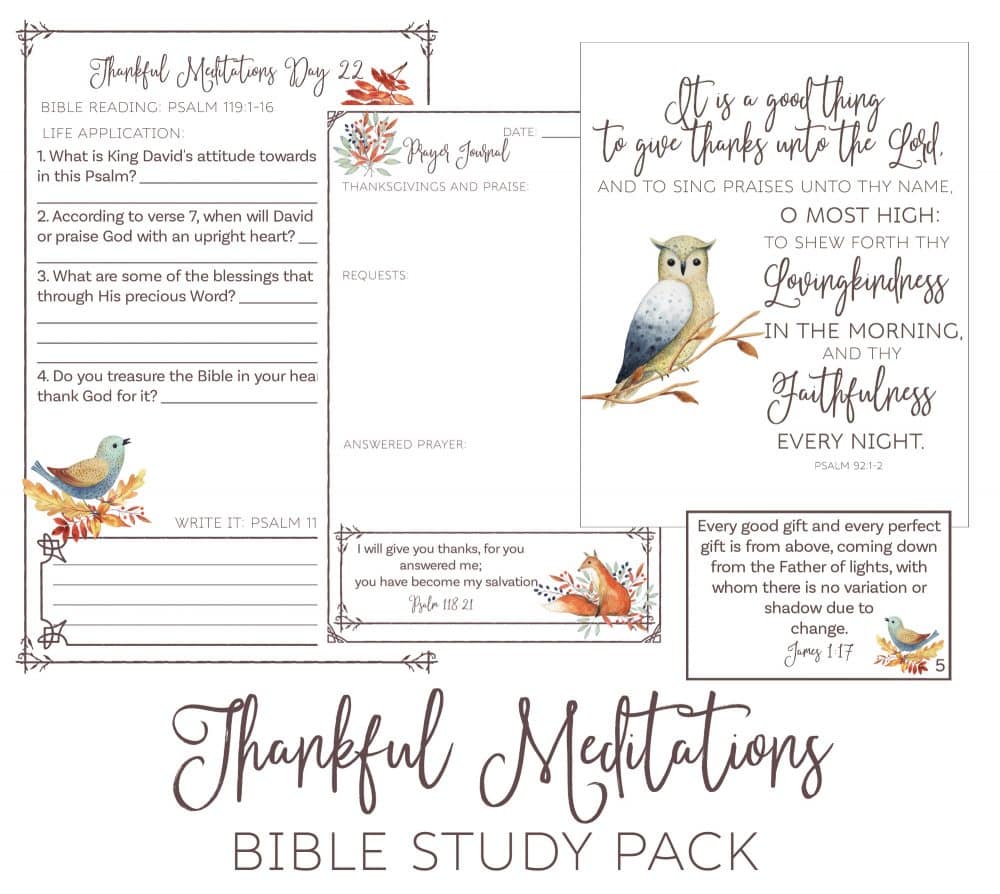 Do you long to pause and give God the worship and thanks He so richly deserves? This Thankful Meditations Bible Study Pack will help you do just that!