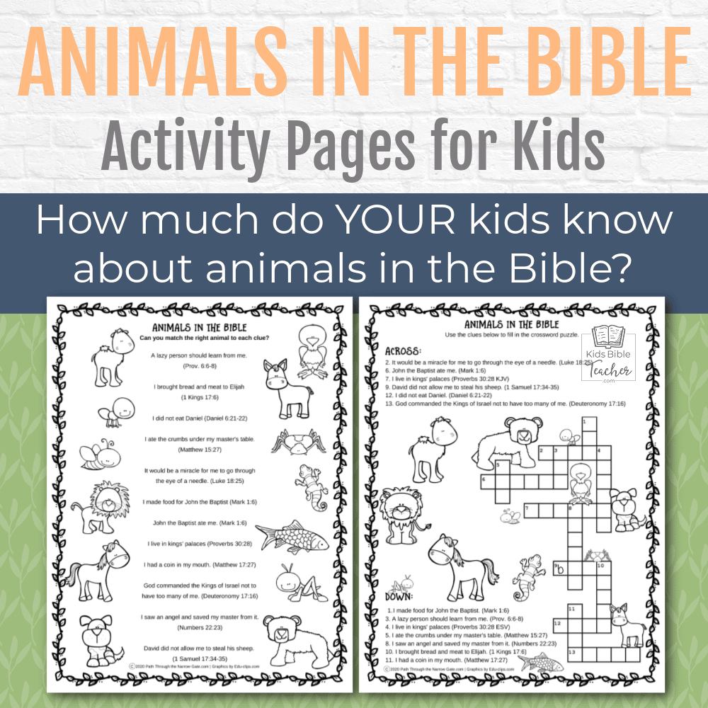 Animals in the Bible Activity Pages - Kids Bible Teacher